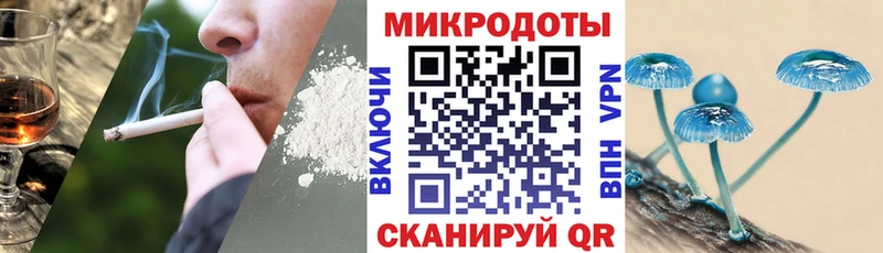 Псилоцибиновые грибы мухоморы блэк спрут как зайти даркнет клад Бабаево