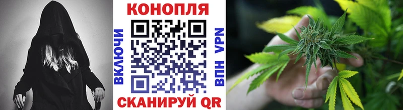 Конопля MAZAR Бабаево